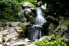 photo 0136